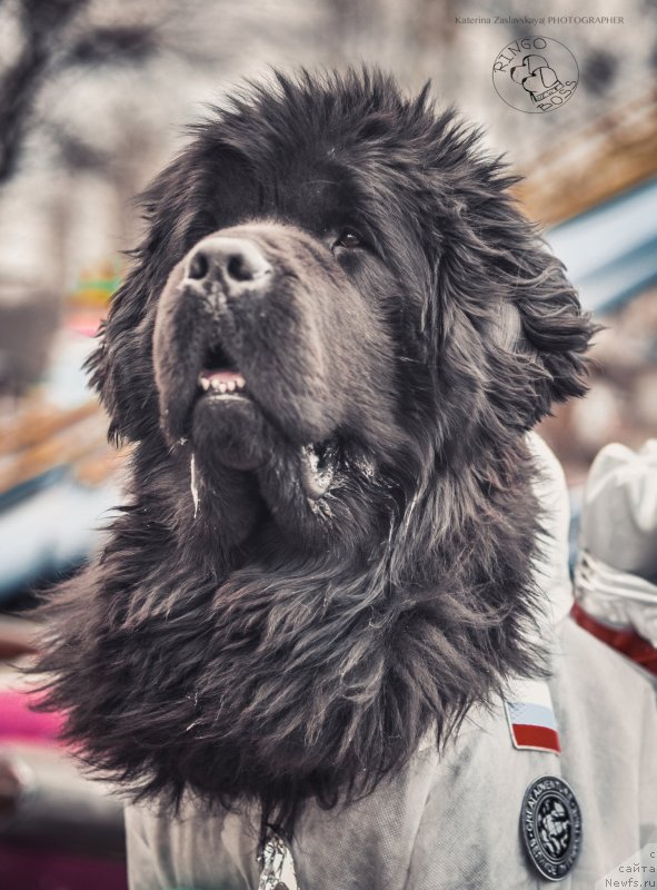 Фотография № 150904