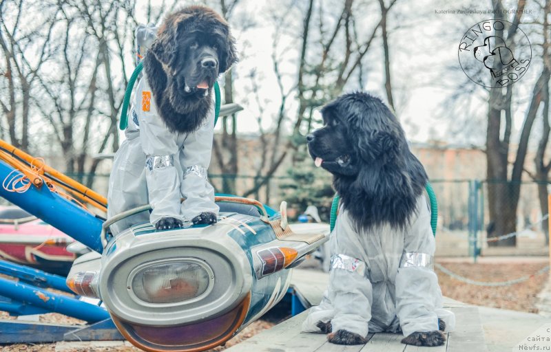 Фотография № 150911