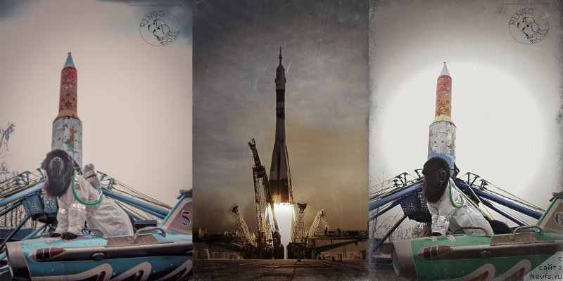 Фотография № 150912