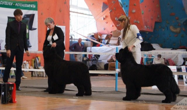 Фотография № 150914