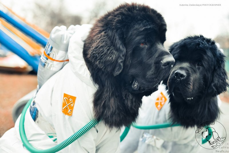 Фотография № 150915