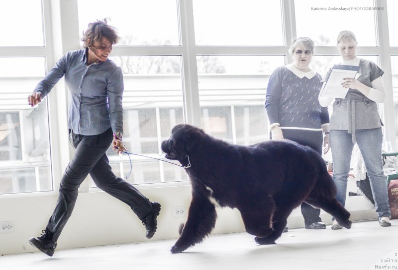 Фотография № 150929