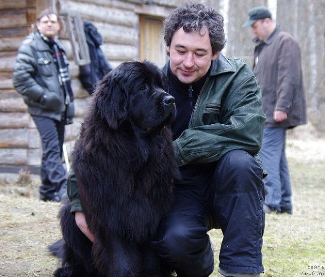 Фотография № 150933