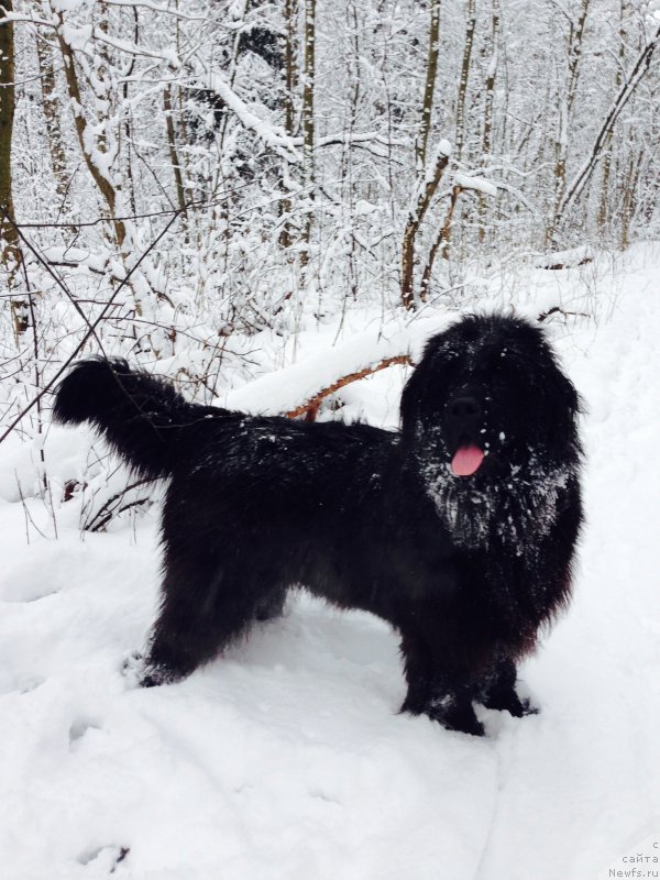 Фотография № 150950