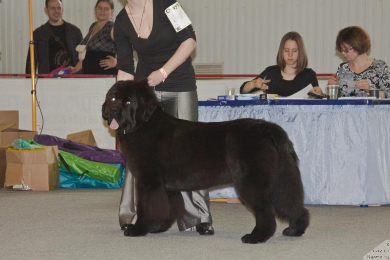 Фотография № 150998