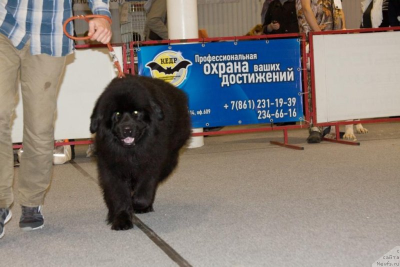 Фотография № 151013