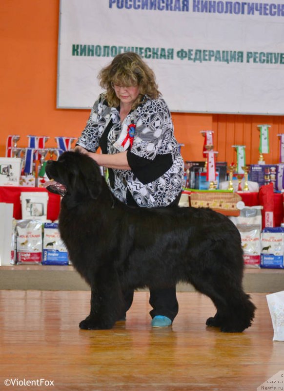 Фотография № 151053