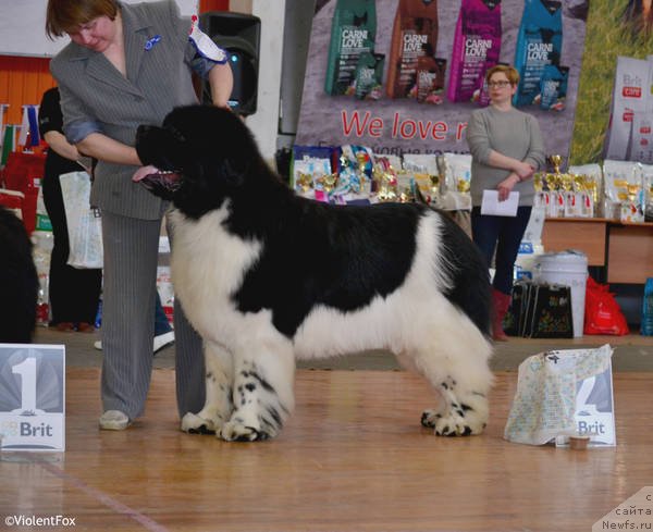 Фотография № 151083