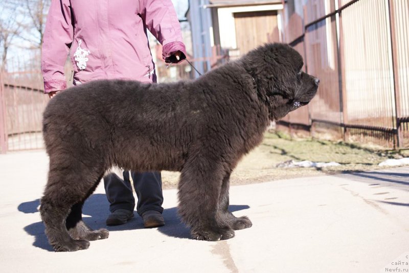 Фото: Бегущая по волнам Ретен оф зе Квин