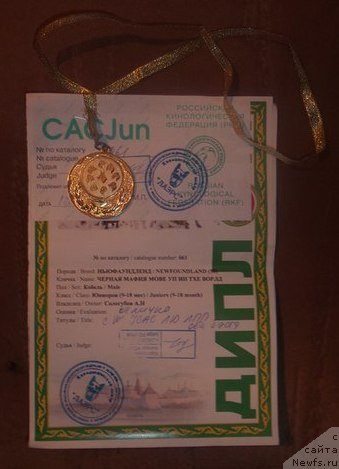 Фотография № 151110