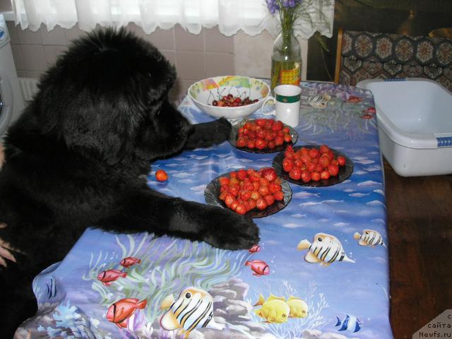 Фотография № 15114