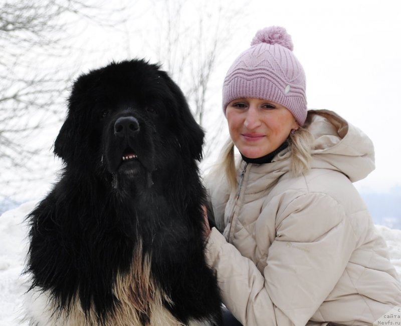 Фото: ньюфаундленд Плюшевая Панда Ферреро Ронд Нуар (Plushevaya Panda Ferrero Rond Noir), Ксения Городничева