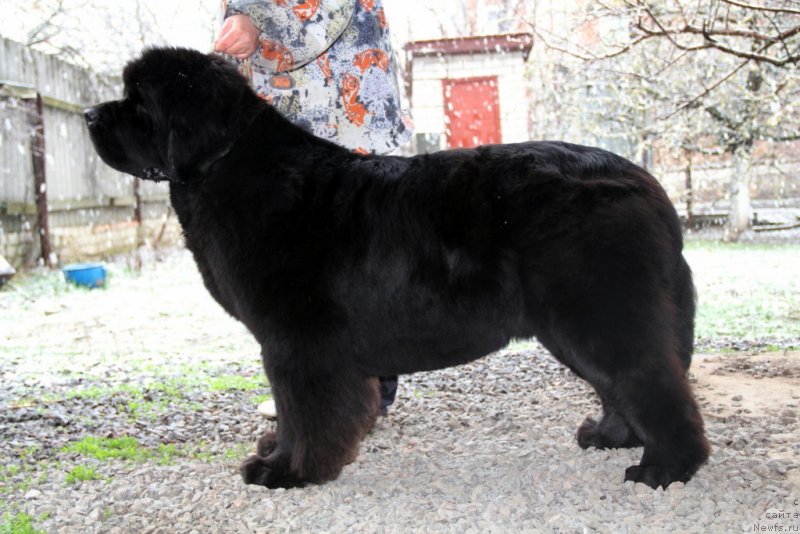 Фотография № 151151