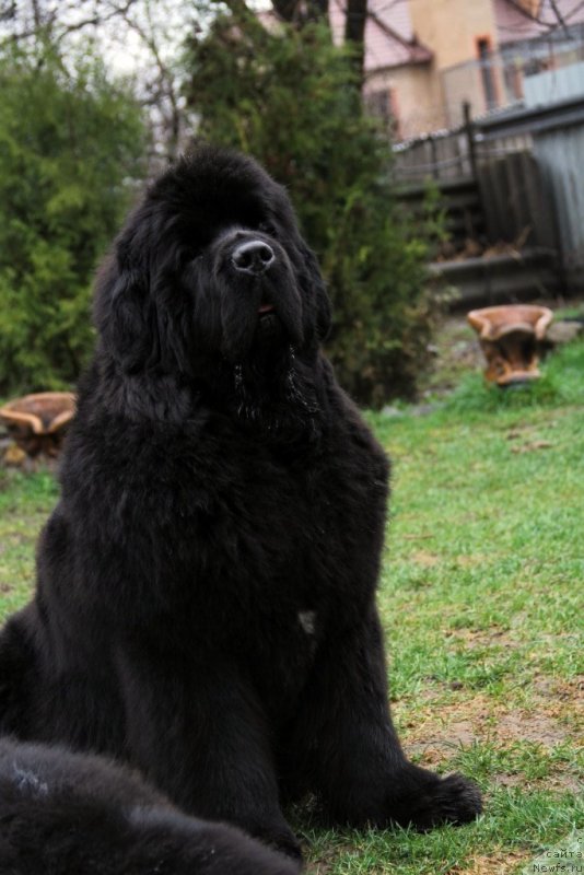 Фотография № 151155