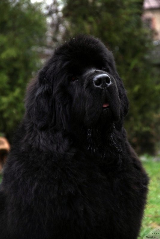 Фотография № 151156