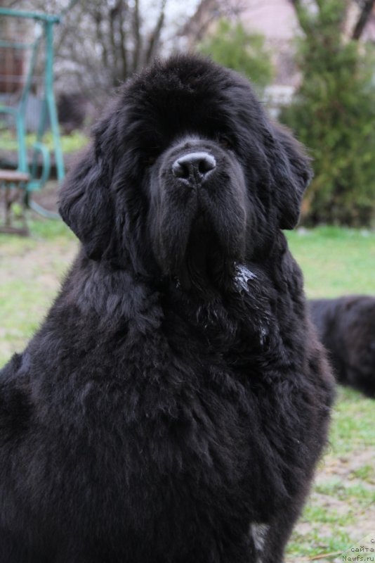 Фотография № 151158