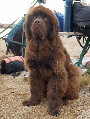 Фотография № 151184