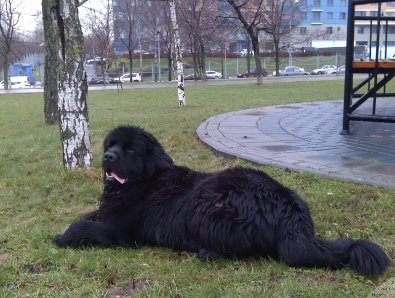 Фотография № 151214