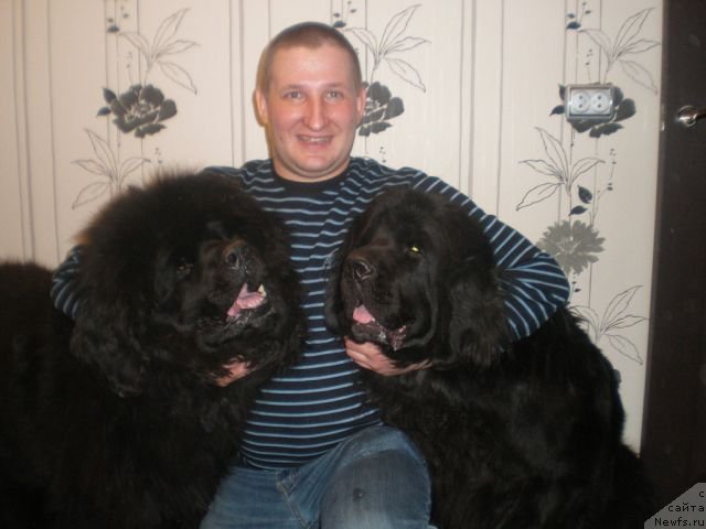 Фотография № 151219