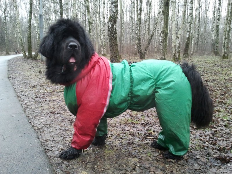 Фотография № 151220