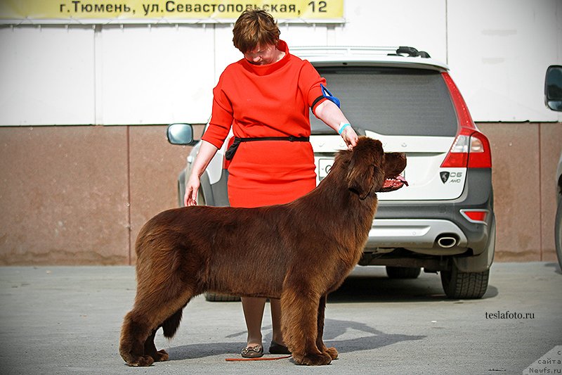 Фотография № 151230