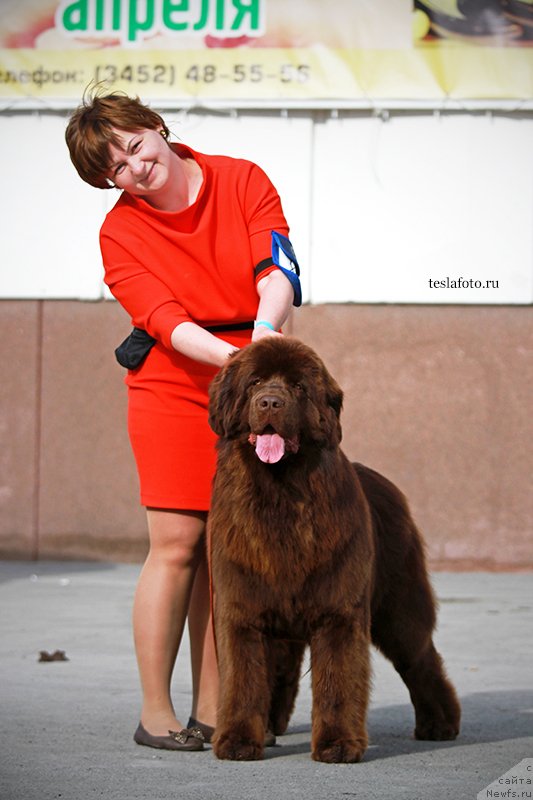 Фотография № 151231