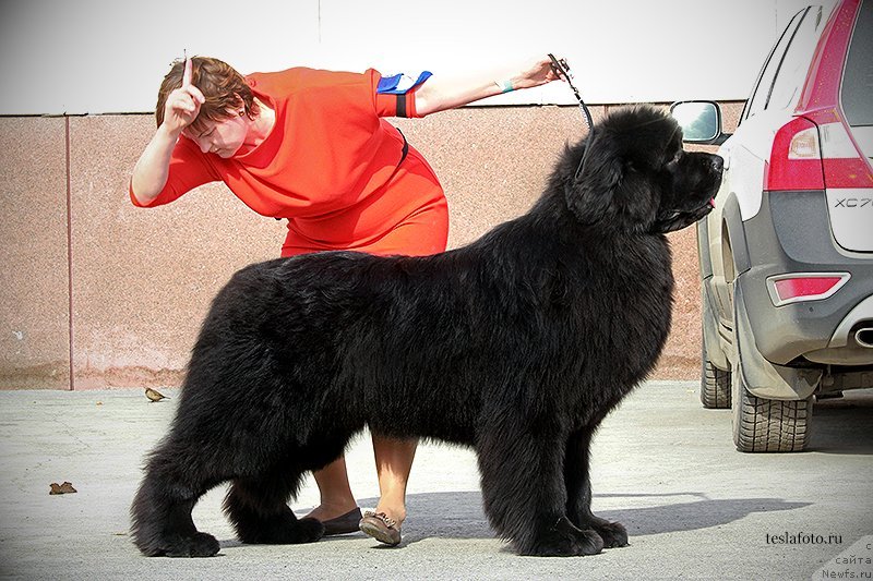 Фотография № 151233