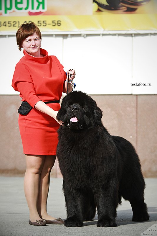 Фотография № 151234