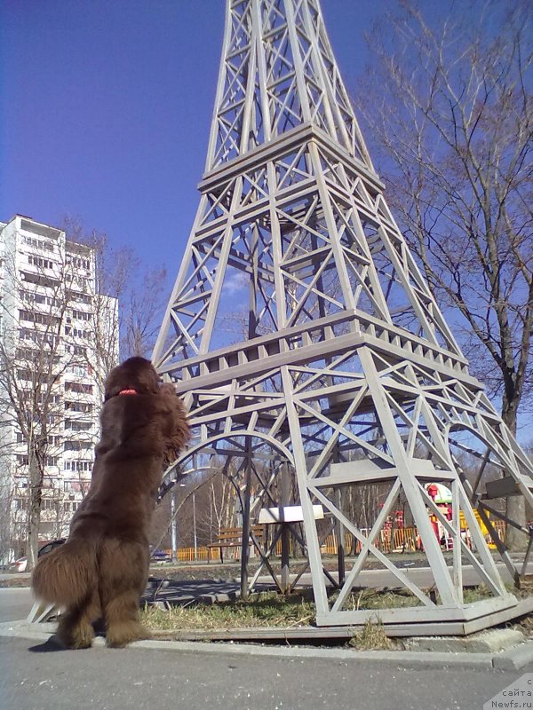 Фотография № 151244