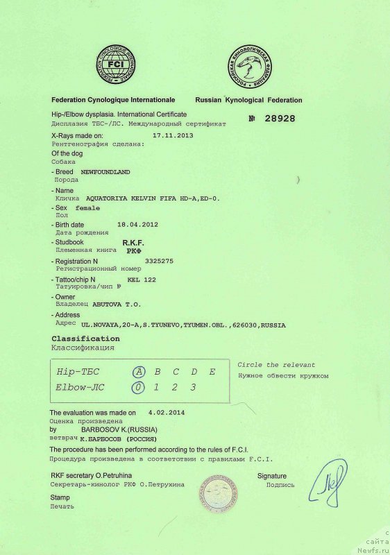 Фотография № 151246