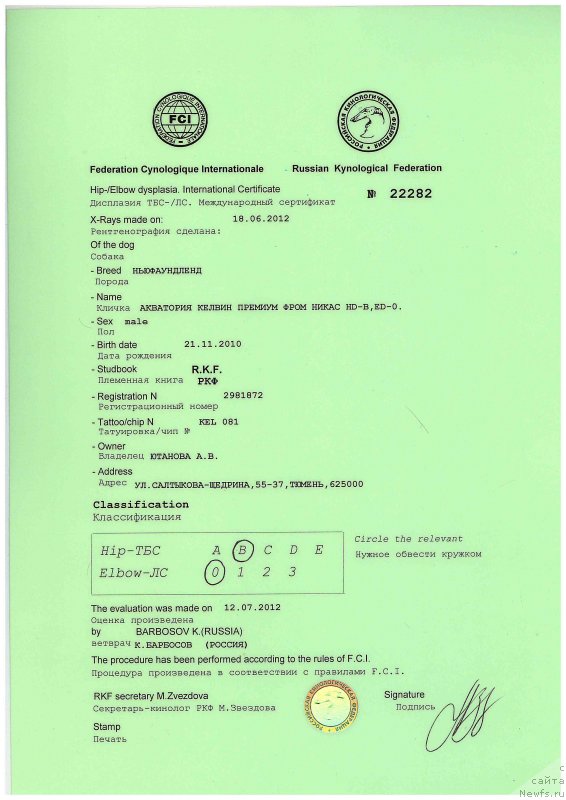 Фото: ньюфаундленд Акватория Келвин Премиум фром Никас