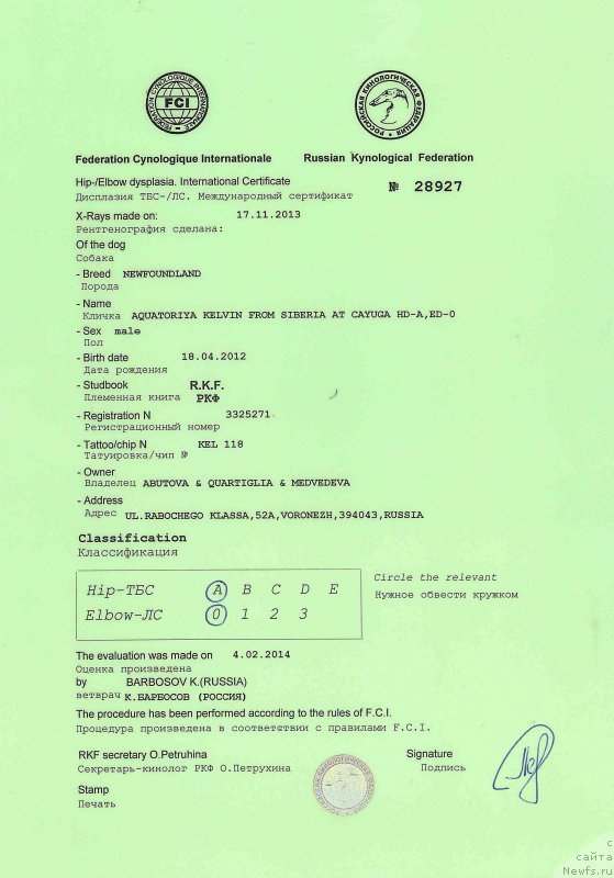 Фото: ньюфаундленд Акватория Келвин Фром Сибириа эт Каюга (Aquatoriya Kelvin From Siberia at Cayuga)
