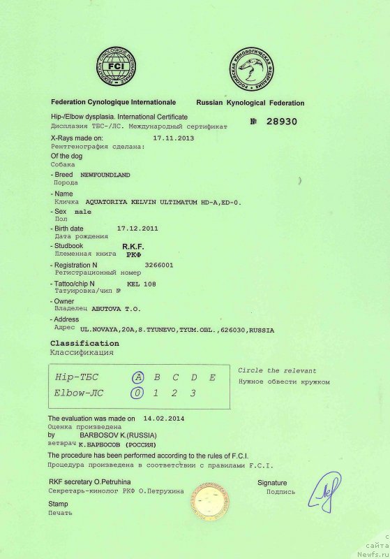 Фотография № 151255