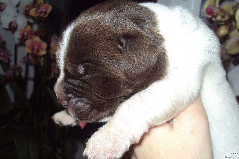 Фотография № 151260