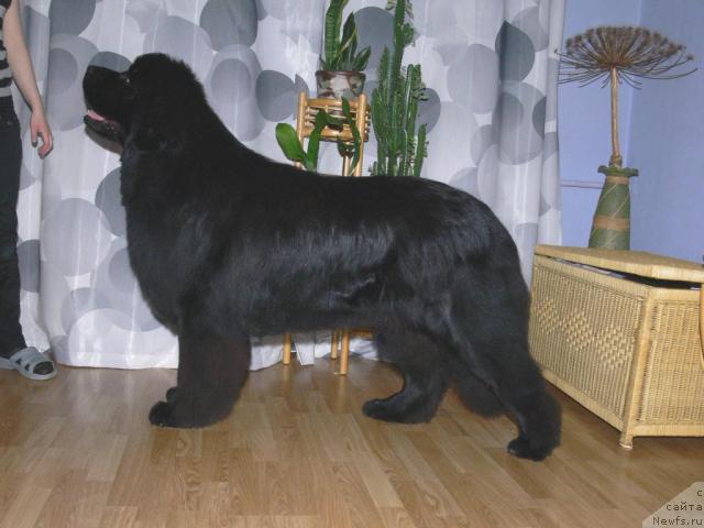 Фотография № 15128