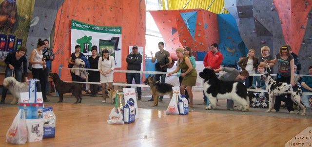 Фотография № 151295