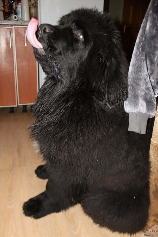 Фотография № 151303