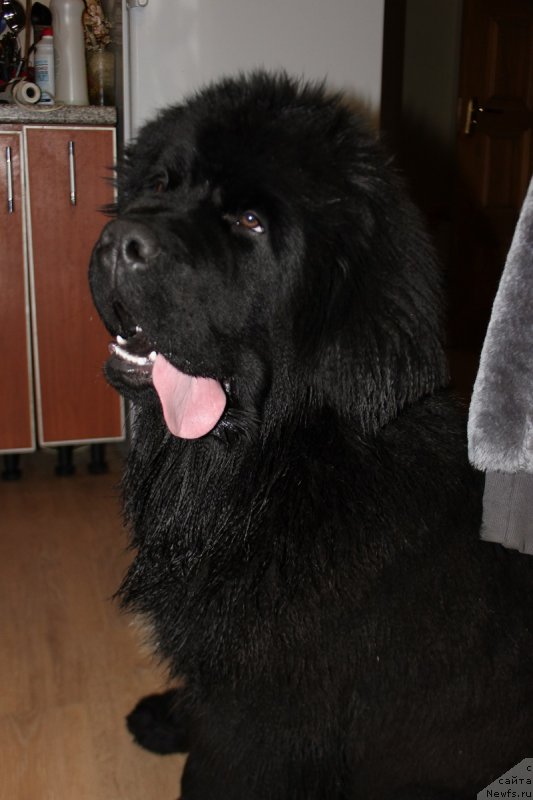 Фотография № 151304