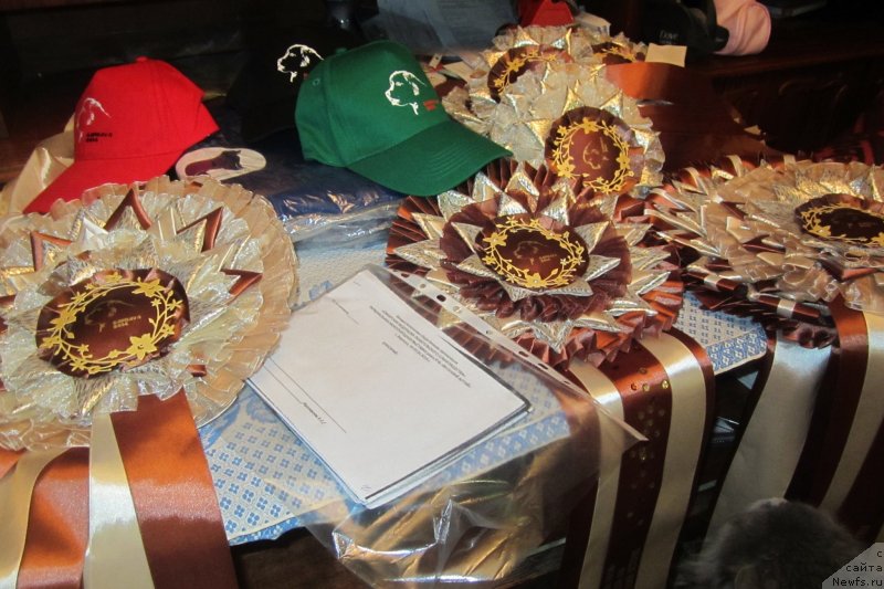 Фотография № 151343