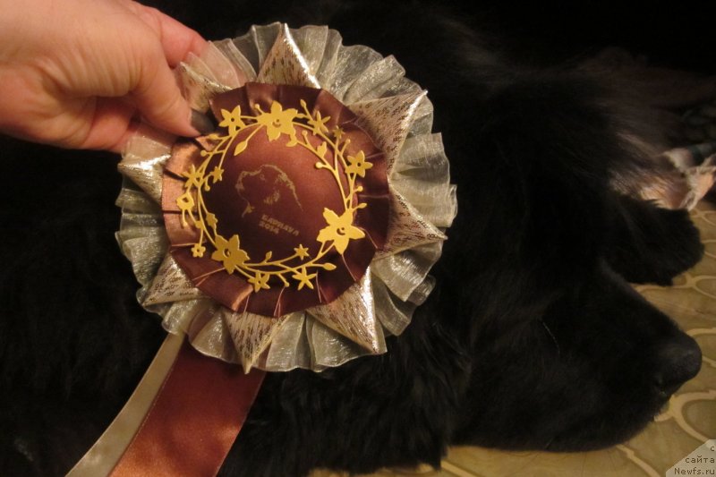 Фотография № 151344