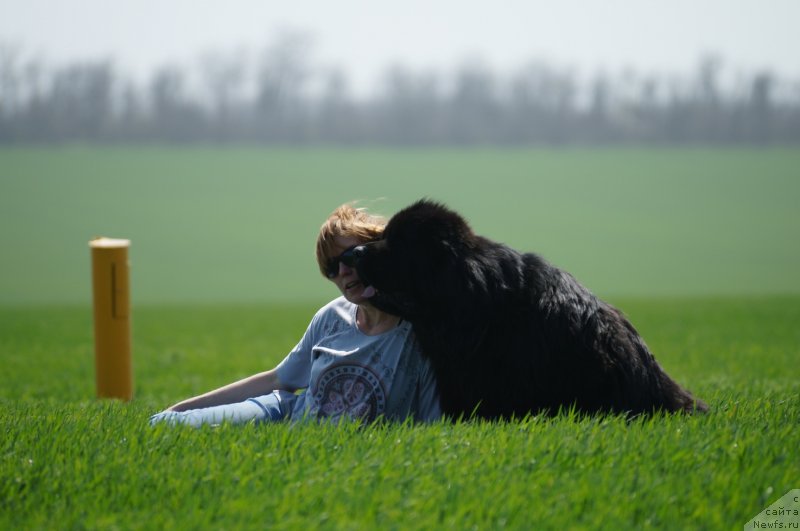 Фотография № 151358