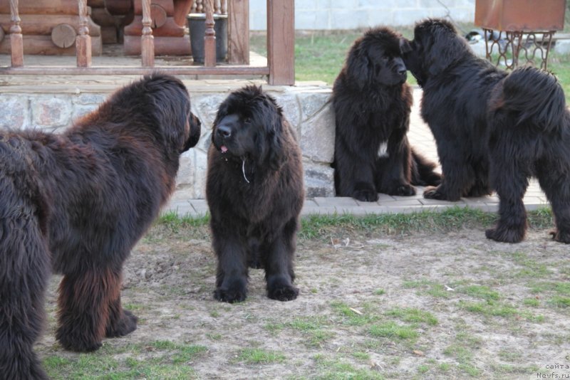 Фотография № 151360