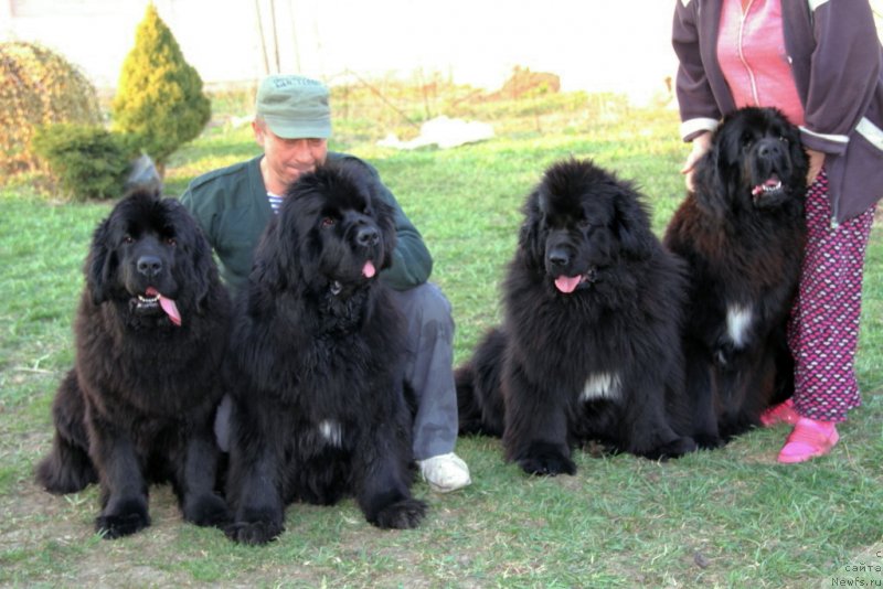 Фотография № 151361