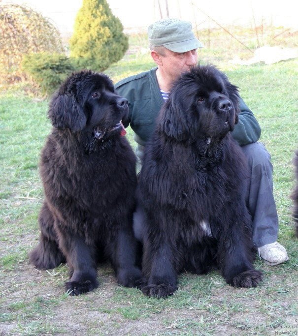 Фотография № 151362