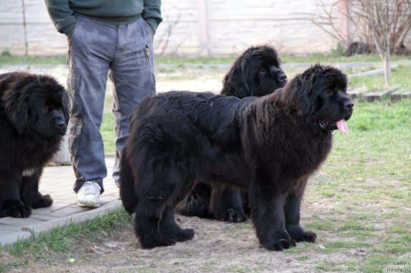 Фотография № 151363