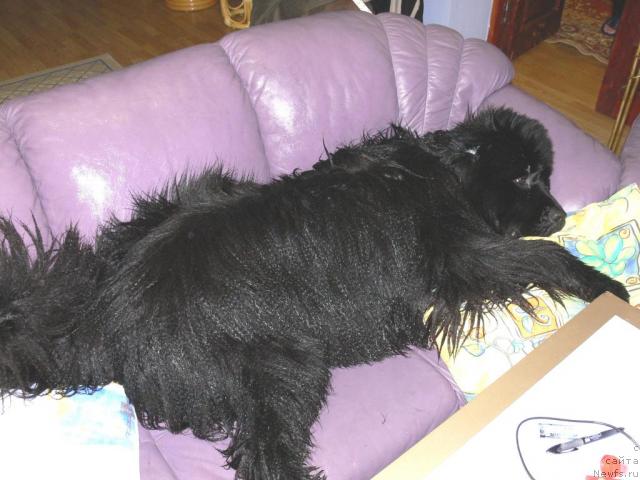 Фотография № 15137