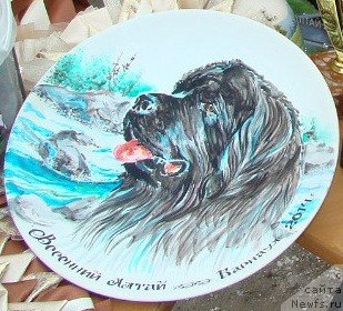 Фотография № 151377