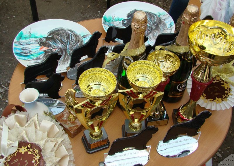 Фотография № 151379