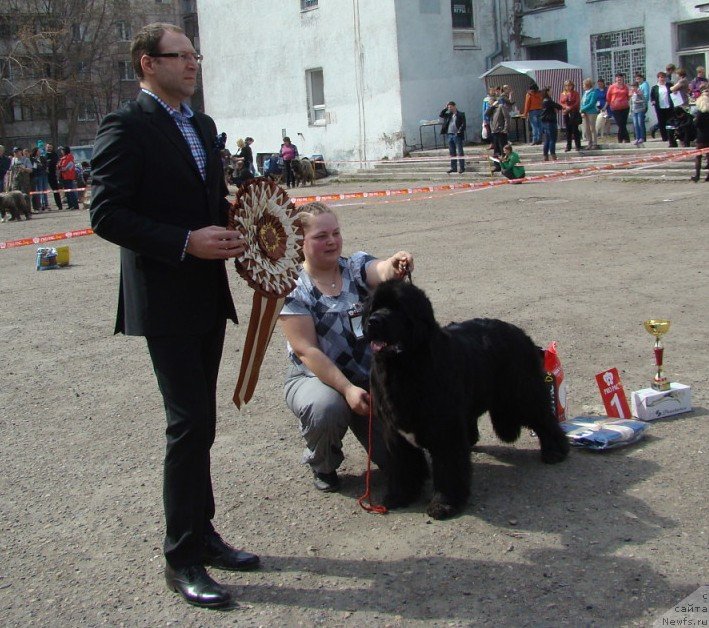 Фотография № 151387