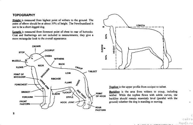 Фотография № 15140